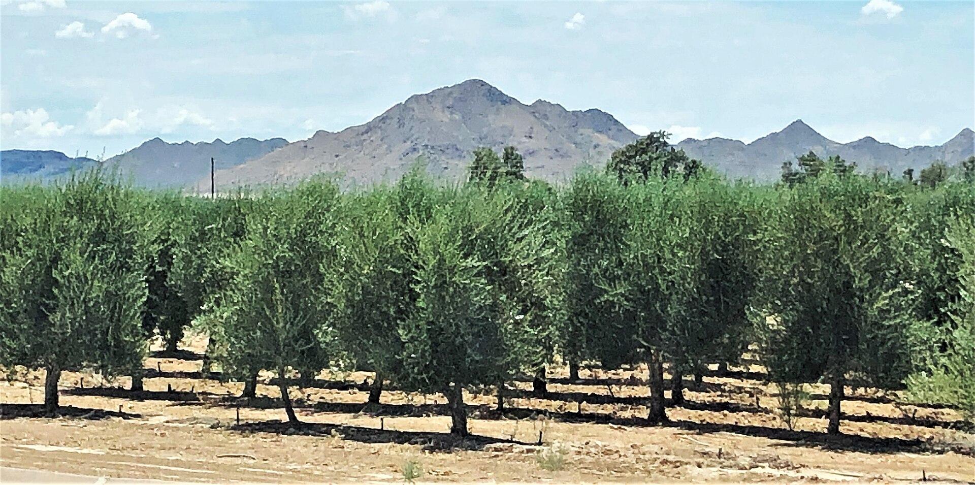 Queen Creek, Arizona